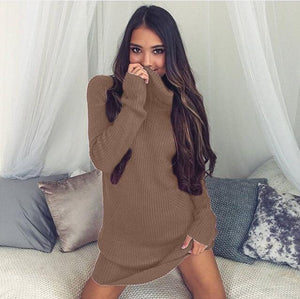 fashion winter autumn  Womens Casual Long Sleeve Jumper Turtleneck Sweaters Dress